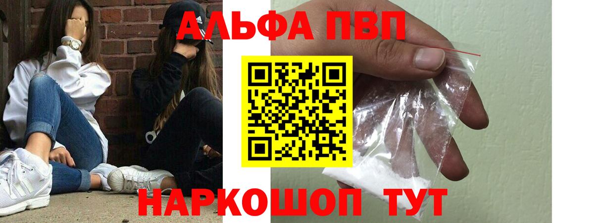 Альфа ПВП СК Нижневартовск